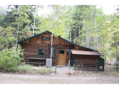 223 Riverside Dr, Lyons, CO 80540 - photo 2