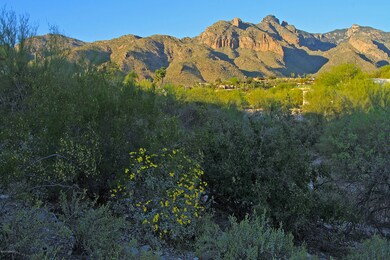 Gorgeous Views!!!
