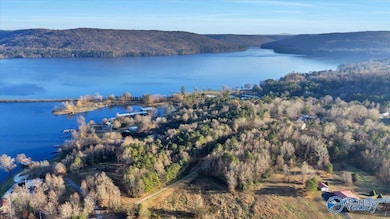 5.58 ac Rachel Rd, Langston, AL 35755 - photo 4