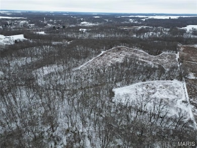 1965 Stringtown Rd, Shoal Creek Township, IL 62086 - photo 2