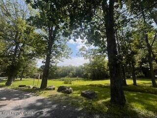 30301_Image_3