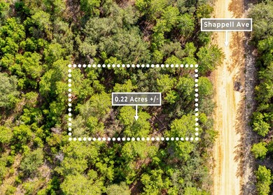 0 Shappell Ave unit 25253026, Interlachen, FL 32148 - photo 4