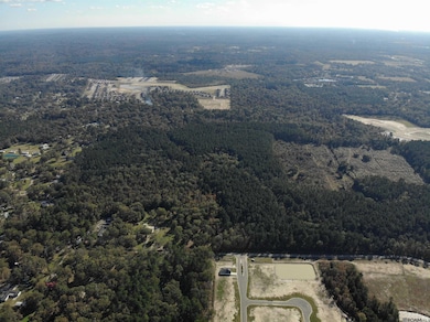 141.35 acres Brown Rd, Denham Springs, LA 70726 - photo 2