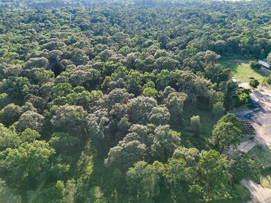 Overhead drone image of the heavily wooded propert