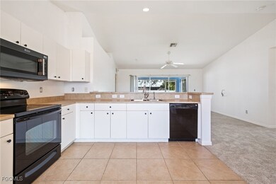 517 Nelson Rd N, Cape Coral, FL 33993 - photo 5