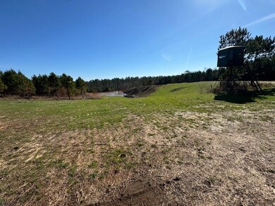 0 County Road 39, Ramer, AL 36069 - photo 4