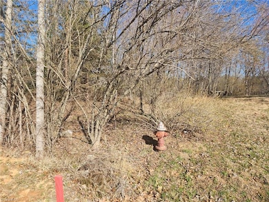 00 Golf Course Rd, Pilot Mountain, NC 27041 - photo 5