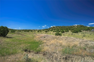 13700 Corundum Rd, Trinidad, CO 81082 - photo 5