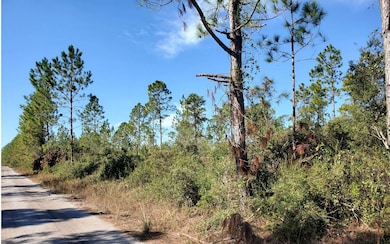 0 County Line & Prine unit 123987, Lee, FL 32059 - photo 6