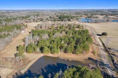 10938 County Road 233, Arp, TX 75750 - photo 7