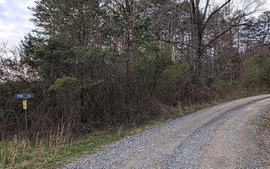 LOTS Creekside Ln, Mineral Bluff, GA 30559 - photo 3