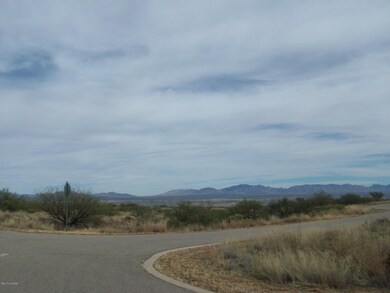Corner of S Canyon Overlook Trl & W Dese