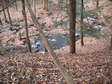 Lot 7 Roaring Brook Rd, Stroud Township, PA 18302 - photo 2