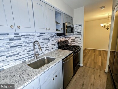 11248 Chestnut Grove Square unit 251, Reston, VA 20190 - photo 7