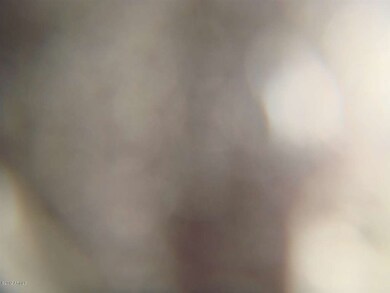 DSC05131