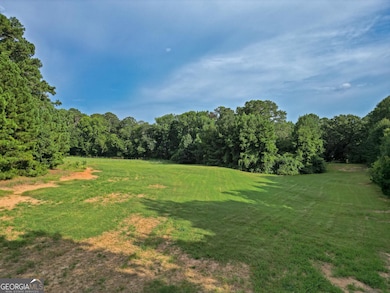 0 Mask and Lynch Rd unit 10611467, Brooks, GA 30205 - photo 7