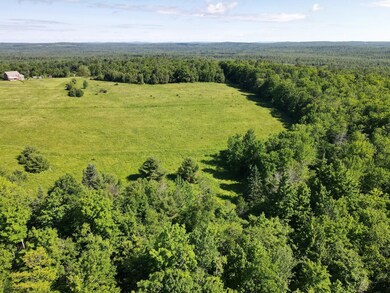 dji_fly_20240613_091526_159_171828454792