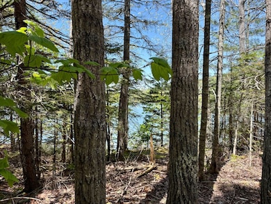 Lot 14a West Shore Rd, Sorrento, ME 04677 - photo 6