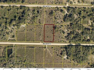 15463 NW 306th St, Okeechobee, FL 34972 - photo 3