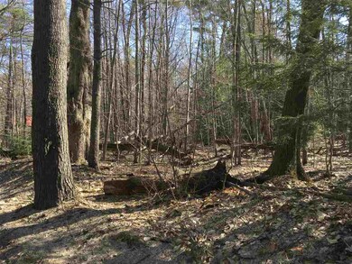 36 Effingham Rd, Ossipee, NH 03864 - photo 3