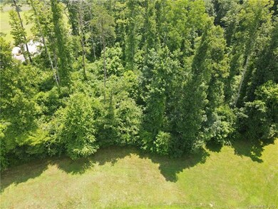99999 Mountain Shadows Dr, Leicester, NC 28748 - photo 4