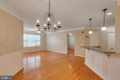 12471 Hayes Ct unit 103, Fairfax, VA 22033 - photo 7