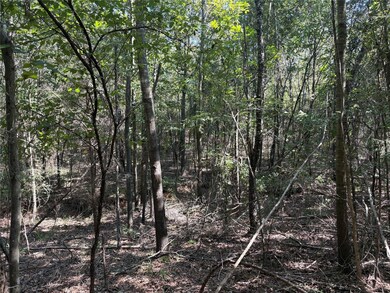 0 Fm 69 unit 24739380, Como, TX 75431 - photo 5