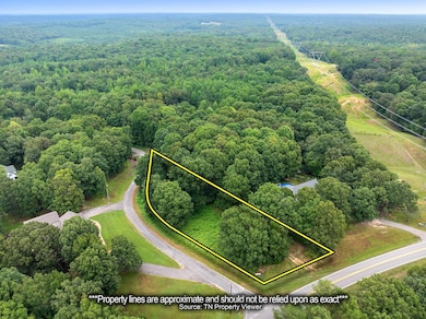 Lot 5 Jason Hollow Rd, Cedar Grove, TN 38321 - photo 2