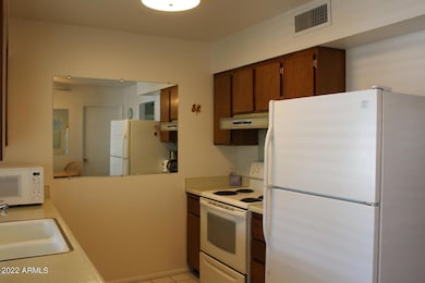 13608 N 111th Ave, Sun City, AZ 85351 - photo 5
