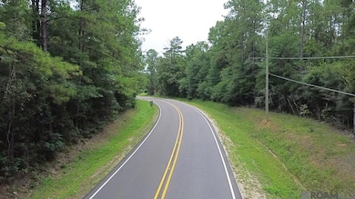 83234 Isabel Swamp Rd, Bush, LA 70431 - photo 5