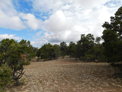 174 Agua Fria Loop, Quemado, NM 87829 - photo 2