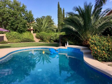 Brand new pebble pool! 2017
