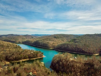 0 Wildcat Hollow Rd unit 25658914, New Tazewell, TN 37825 - photo 3