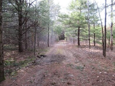 0 Moss Brook Rd, Orange, MA 01364 - photo 4