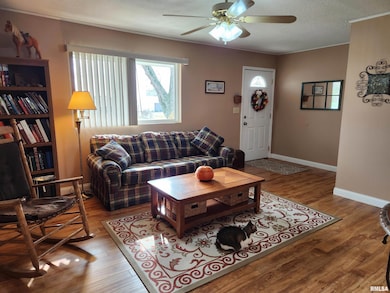 15766 E Tilton Rd, Ina, IL 62846 - photo 4