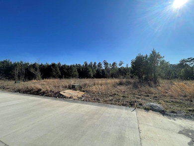 Lots Jonquil, East Camden, AR 71701 - photo 4