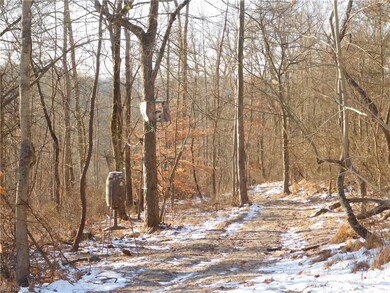 0 Chestnut Ridge Rd unit 4247055, Danville, OH 43014 - photo 6