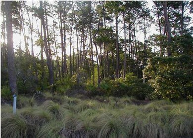 0000 LOT 6 PINE CONE TRL 5