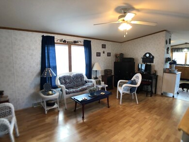 IMG-8034