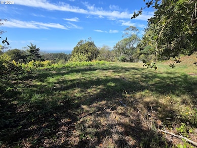 0 Hillside Acres Rd unit 124 148353947, Gold Beach, OR 97444 - photo 2