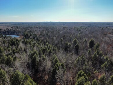 DJI_0604