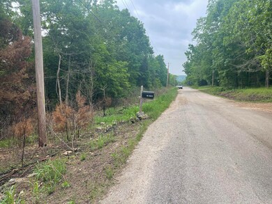 000 Lot 12 Mach Ln, Swan Township, MO 65740 - photo 3