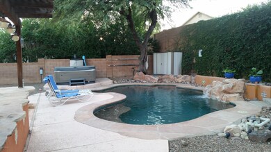 back yard