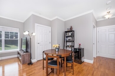 35 Commonwealth Ave unit 202, Chestnut Hill, MA 02467 - photo 5