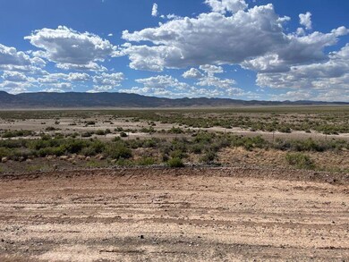 006. Large Section North View