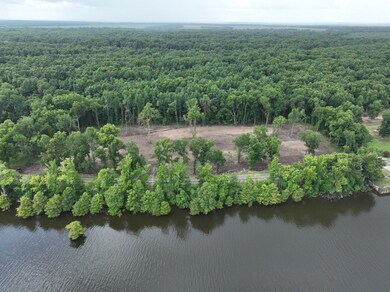 0 Hwy 3102 unit LotWP004 24147751, Jonesville, LA 71340 - photo 5