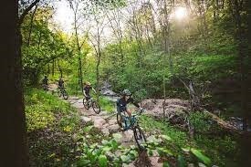 TBD Pimlico Dr, Bella Vista, AR 72715 - photo 3