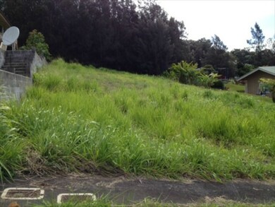 0 Palikekua St, Honokaa, HI 96727 - photo 4