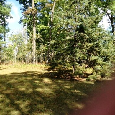 28187 Melland Ln, Danbury, WI 54830 - photo 5