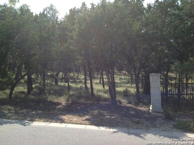 11306 Caliza Crest, Boerne, TX 78006 - photo 5